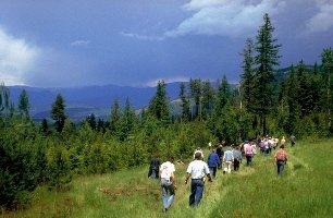 Forest_field_trip